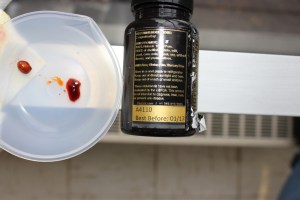 green_Lipped_MUS6768